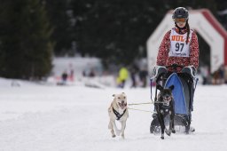 Lenzerheide 2013